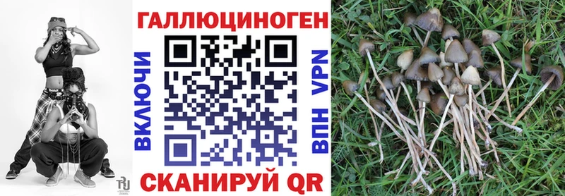 Псилоцибиновые грибы мухоморы  закладка  Белорецк 