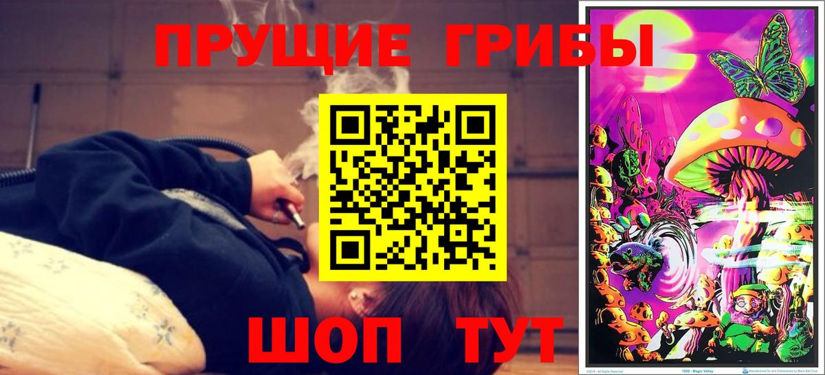 Псилоцибиновые грибы мухоморы  Галлюциногенные грибы Psilocybe  Белорецк 